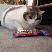 Dont Touch Mah Foodz GIF - Cat Skittles Food GIFs