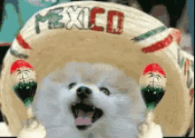 Cinco De Mayo Mexico GIF - Cinco De Mayo Mexico Maracas GIFs