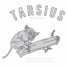 tarsius tarsier animal art climb
