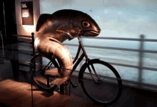 Going For A Bike Ride GIF - Fish Riding A Bike Funny Animals Fish GIFs