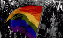 burning gay flag emojis