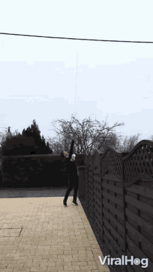 take the toilet paper walking backwards moving away drone rope back away take the toilet paper walking backwards moving away drone rope back away