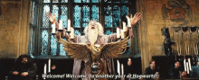 Dumbledore GIF - Dumbledore GIFs