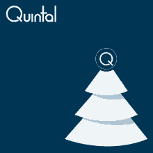 quintal arquitetura quintal laser quintal arquitetura quintal laser