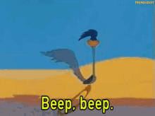 Roadrunner Beep GIF - Roadrunner Beep Looney Tunes GIFs
