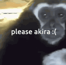 Akira Please GIF - Akira Please GIFs