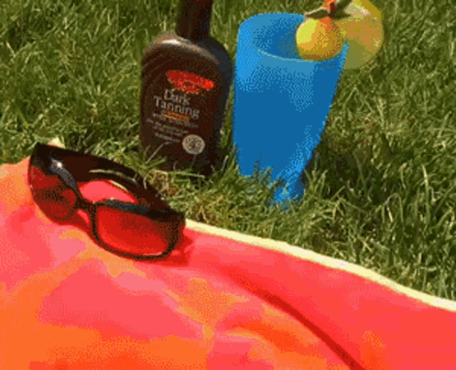 Dog Bikini GIF - Dog Bikini Sun Bathing GIFs.