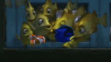 Yay! GIF - Finding Dory Dory Nemo GIFs