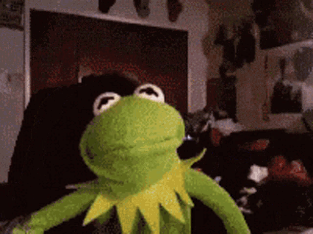 The perfect Kermit Funny Masturbation Animated GIF for your conversation. 