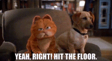 Garfield Yeah Right GIF - Garfield Yeah Right Hit The Floor GIFs