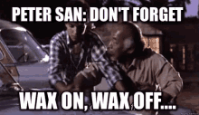Wax On Wax Off GIF - Wax On Wax Off Wax Karate Kid GIFs