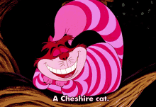 Cheshire Cat GIF - Cheshire Cat GIFs