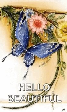 Hello Beautiful Greetings GIF - Hello Beautiful Greetings Butterflies GIFs
