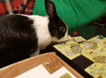 Bunny Board Games GIF - Bunny Board Games Ludvik GIFs