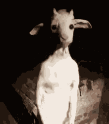Goat Defaultbannedword GIF - Goat Defaultbannedword Margaret Thatcher GIFs