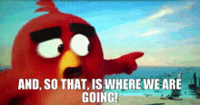 The Angry Birds Movie Red GIF - The Angry Birds Movie Red And So That Is Where We Are Going GIFs