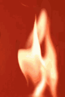 Flame Burning GIF - Flame Burning Burn GIFs