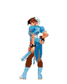 pixel fighter