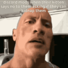 Discord Mod Discord Kitten GIF - Discord Mod Discord Kitten Discord Mods GIFs