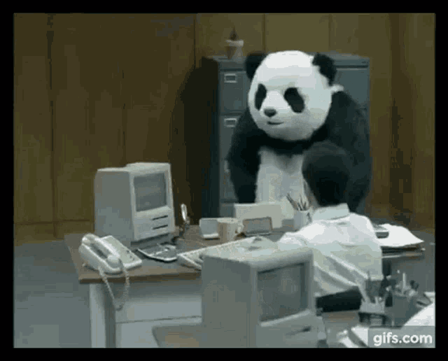 Crazy Panda Gif GIFs Tenor
