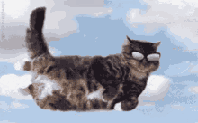 Cat Flying GIF - Cat Flying Clouds GIFs