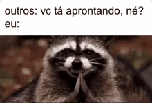 Aprontando / Observando / Tô De Olho / Aprontar GIF - Up To No Good Racoon In Trouble GIFs