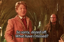 lockhart-harry-potter.gif