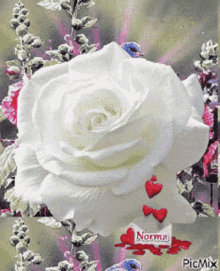 Rose White Rose GIF - Rose White Rose Hearts GIFs