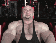 bodybuilder exercise