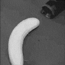 Banana Suck GIF - Banana Suck Vacuum GIFs