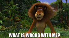 Madagascar What Is Wrong With Me GIF - Madagascar What Is Wrong With Me Alex The Lion GIFs