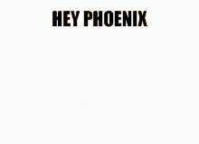 hey phoenix hey phoenix luximon hvbuddy