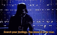 Darth Vader Star Wars GIF - Darth Vader Star Wars Search Your Feelings GIFs