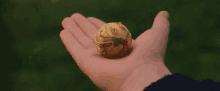 The Golden Snitch - Harry Potter GIF - Snitch Golden Snitch Harry Potter GIFs