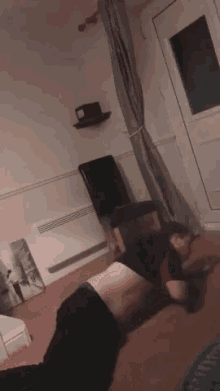 alek spastic snake