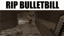 steelchill minecraft playing fight bulletbill