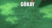 Gökay Gokay GIF - Gökay Gokay Touch Grass GIFs