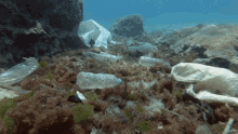 Plastic Ocean GIF - Plastic Ocean Pollution GIFs