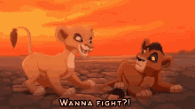 lionking wanna fight me lets go cubs