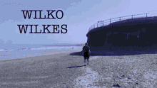 Wilko Wilko Wilkes GIF - Wilko Wilko Wilkes Wilkes GIFs