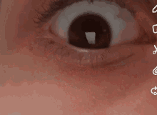 Eye Roll Eyeball GIF - Eye Roll Eye Eyeball GIFs