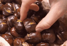 Chestnut Roasted With Sugar 糖炒栗子 GIF - 栗子chestnuts GIFs