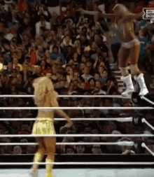 kelly kelly wwe kelly kelly wwe