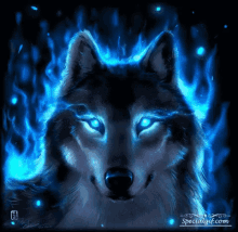 Blue Wolf GIF - Blue Wolf GIFs