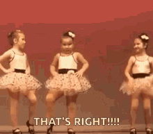 sas sassy sassy girl attitude ya llegue perras sas sassy sassy girl attitude ya llegue perras