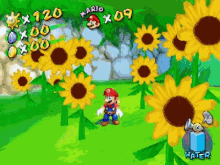 Super Mario Sunshine Mariosunshine GIF - Super Mario Sunshine Mariosunshine GIFs