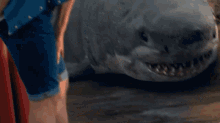 Sharkman GIF - Sharkman GIFs