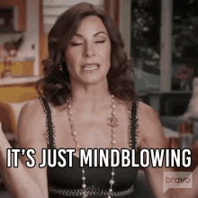 Its Just Mindblowing Real Housewives Of New York GIF - Its Just Mindblowing Real Housewives Of New York Rhony GIFs