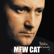 Mfw Cat Phil Collins GIF - Mfw Cat Mfw Cat GIFs