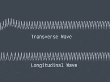Longitudinal Wave Transverse Waves GIF - Longitudinal Wave Transverse Waves Waves GIFs
